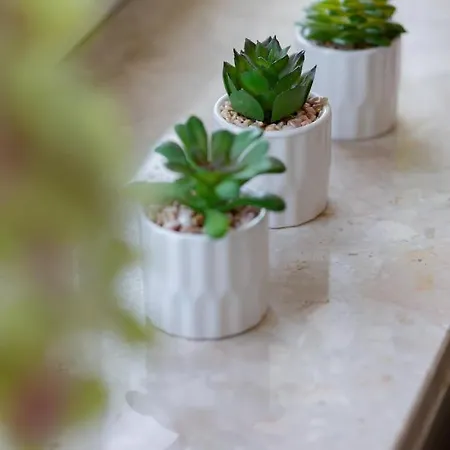 Cozy With Balcony By Renters Lejlighed